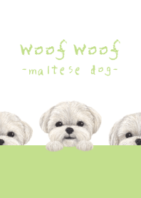 Woof Woof - Maltese dog - WHITE/YG
