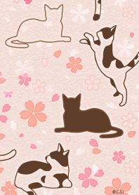 日本櫻花和貓