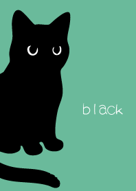 Round Black Cat4 on blue green
