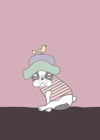 He is my crazy DOGGY