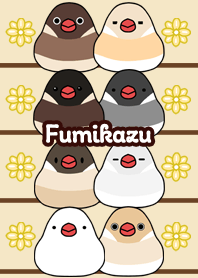 Fumikazu Round and cute Java sparrow