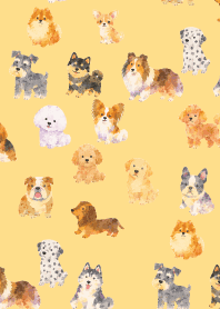 Is my dog here? 01 brown & yellow
