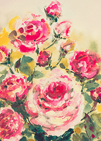 Beautiful rose flower(R4987)