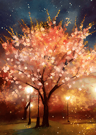 Beautiful night cherry blossoms#44