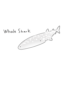 簡單 鯨鯊