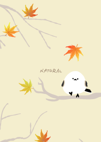 Long-tailed Tit maple19 from Japan