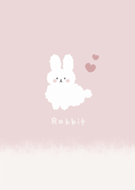 A cute rabbit with a fluffy texture4.