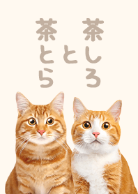茶とら と 茶しろ - ライトブラウン
