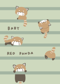 A lot of Baby red panda/stripe