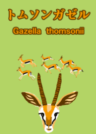 Gazella thomsonii