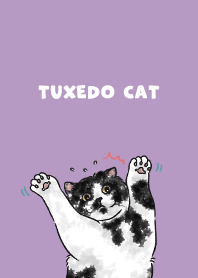 tuxedocat2 - purple