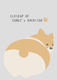 CLOSEUP OF CORGI's BACKSIDE-GRAY