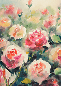 Beautiful rose flower(R4403)