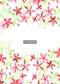 water color flowers_953