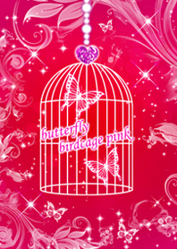 butterfly birdcage pink