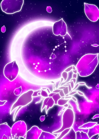 Purple Sakura Scorpio