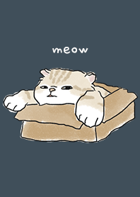 neko drawing4 / indigo