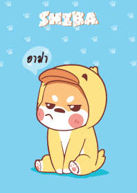 อาม่า ใครไม่บะ ชิบะ 4 V05