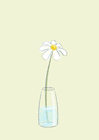 ดอกเดซี่: ดอกไม้สีขาว มินิมอล