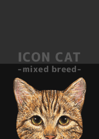 ICON CAT - Mixed breed cat - BLACK/15