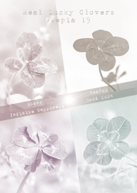 Real Lucky Clovers #sepia 19