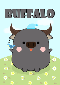 I'm Pretty Buffalo Theme