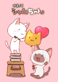 かまってシャムちゃん
