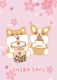 柴語錄05-粉紅櫻花