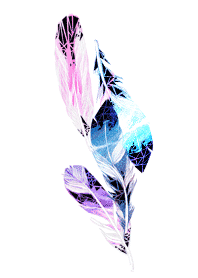 feather and feather