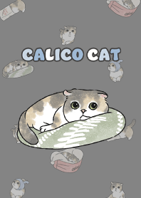 calicocat2 - dark grey