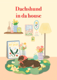 Dachshund in da house