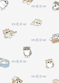 neko combo4 / white smoke