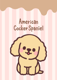 American Cocker Spaniel 7 set