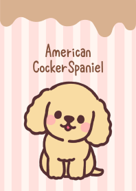 たくさんアメリカンコッカースパニエル