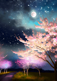 Beautiful night cherry blossoms#964