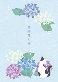 【開運】紫陽花と猫