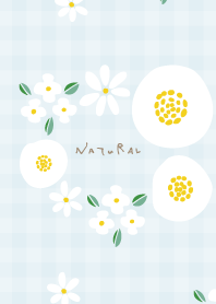 Fashionable white flowers4 from Japan