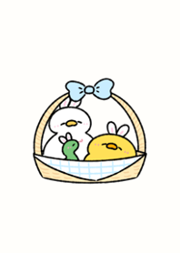 hiyoko spring