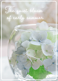 Quiet early summer 01_2