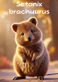 Setonix brachyurus!3D realistic!