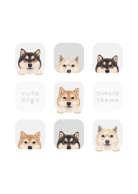 DOGS - shiba inu - WHITE/GRAY