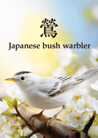 "Japanese bush warbler vol.2" theme