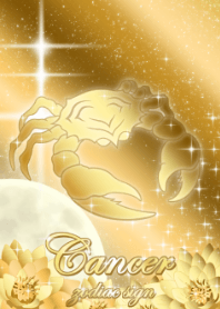 巨蟹座金莲花 2