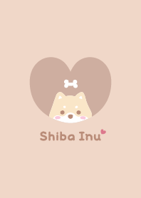 ชิบะอินุ2กระดูก[แอปริคอทส้ม]