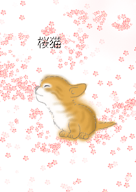 A Cat in cherry blossom petals swirl