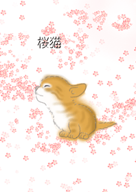 桜猫
