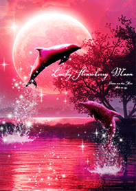 Strawberry Moon and Dolphins