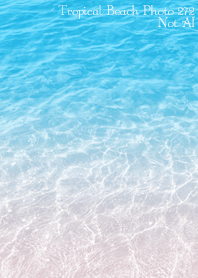Tropical Beach Photo 272 Not AI