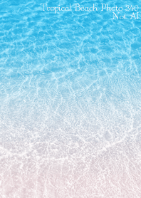 Tropical Beach Photo 340 Not AI