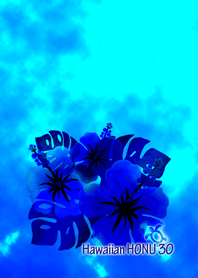 リゾート気分ハワイアンホヌ30